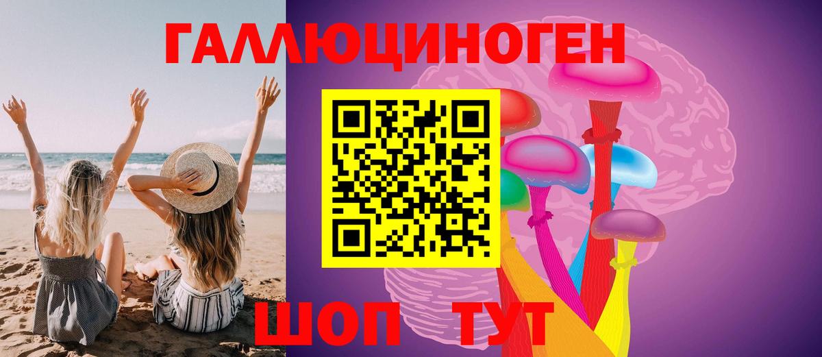 Галлюциногенные грибы Psilocybe  Вход с VPN  Псилоцибиновые грибы мухоморы  Семёнов 