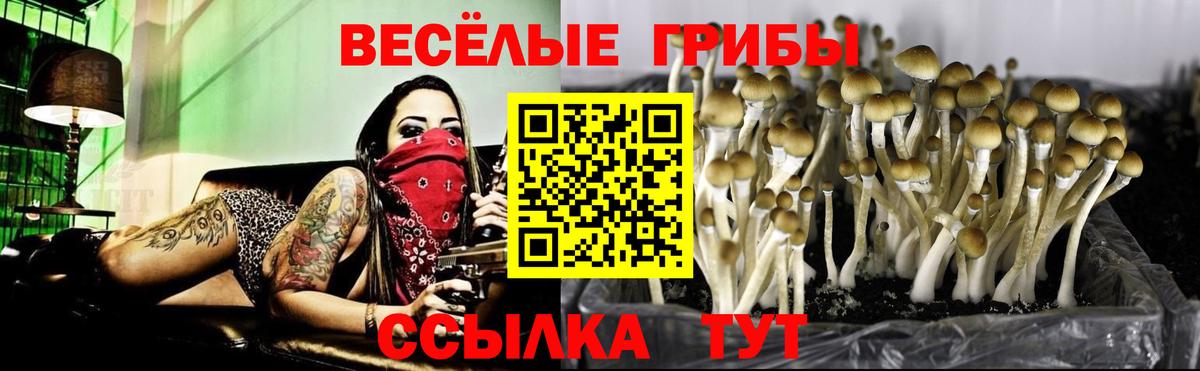 Псилоцибиновые грибы мицелий Семёнов